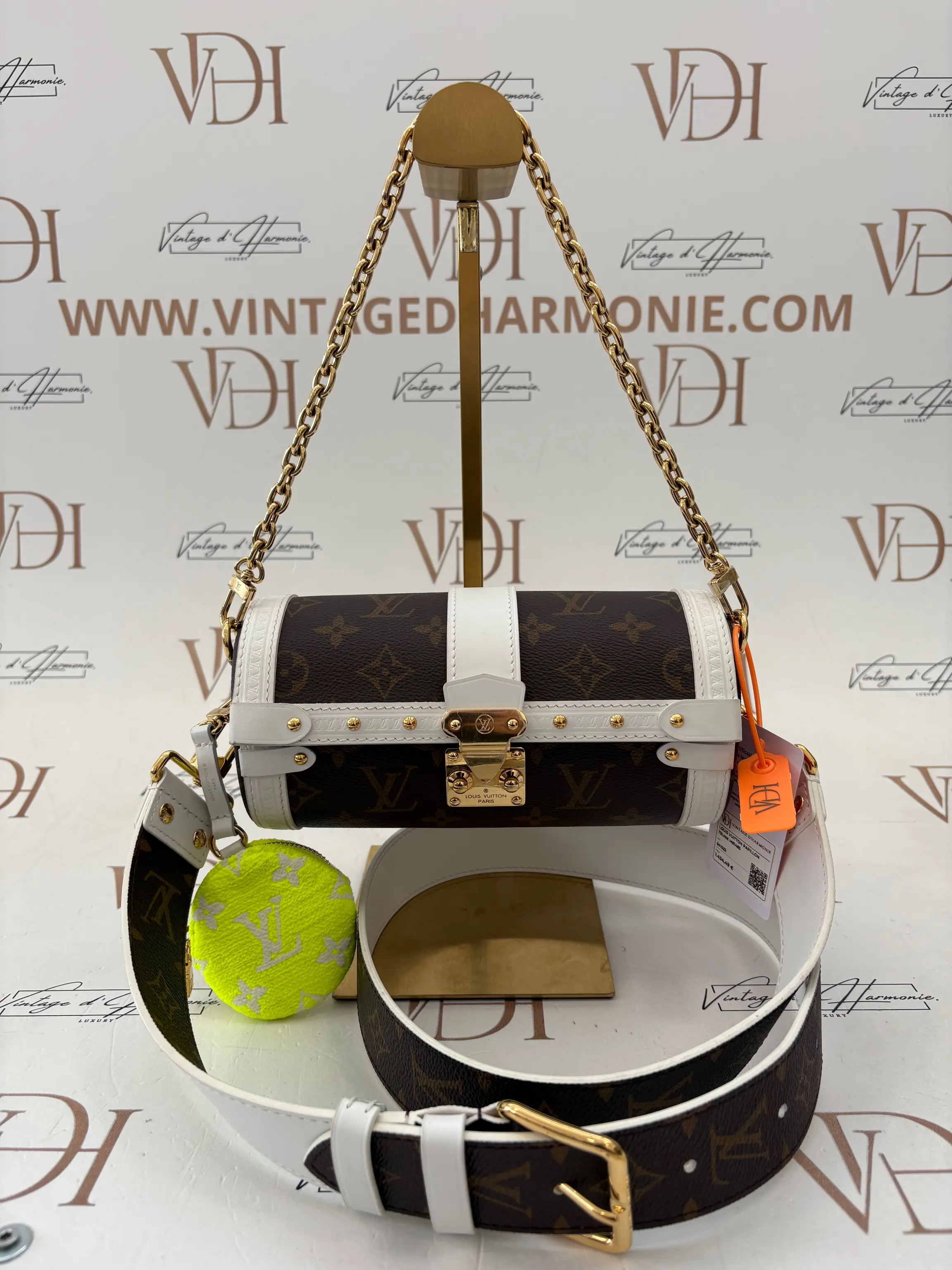 Louis Vuitton Papillon Trunk