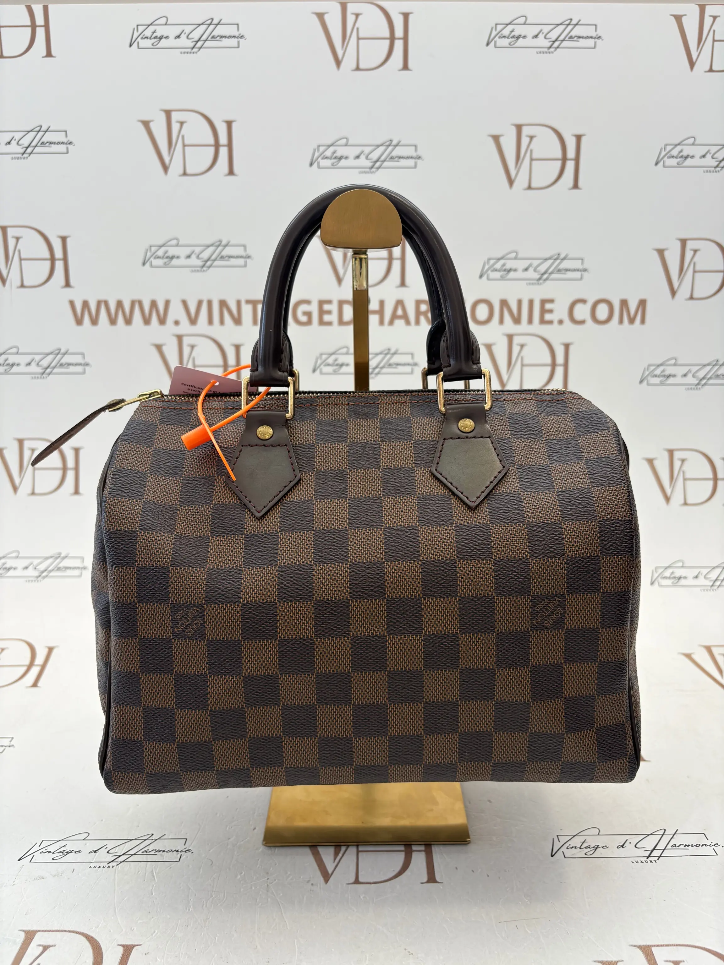 Louis Vuitton Damier Speedy 25