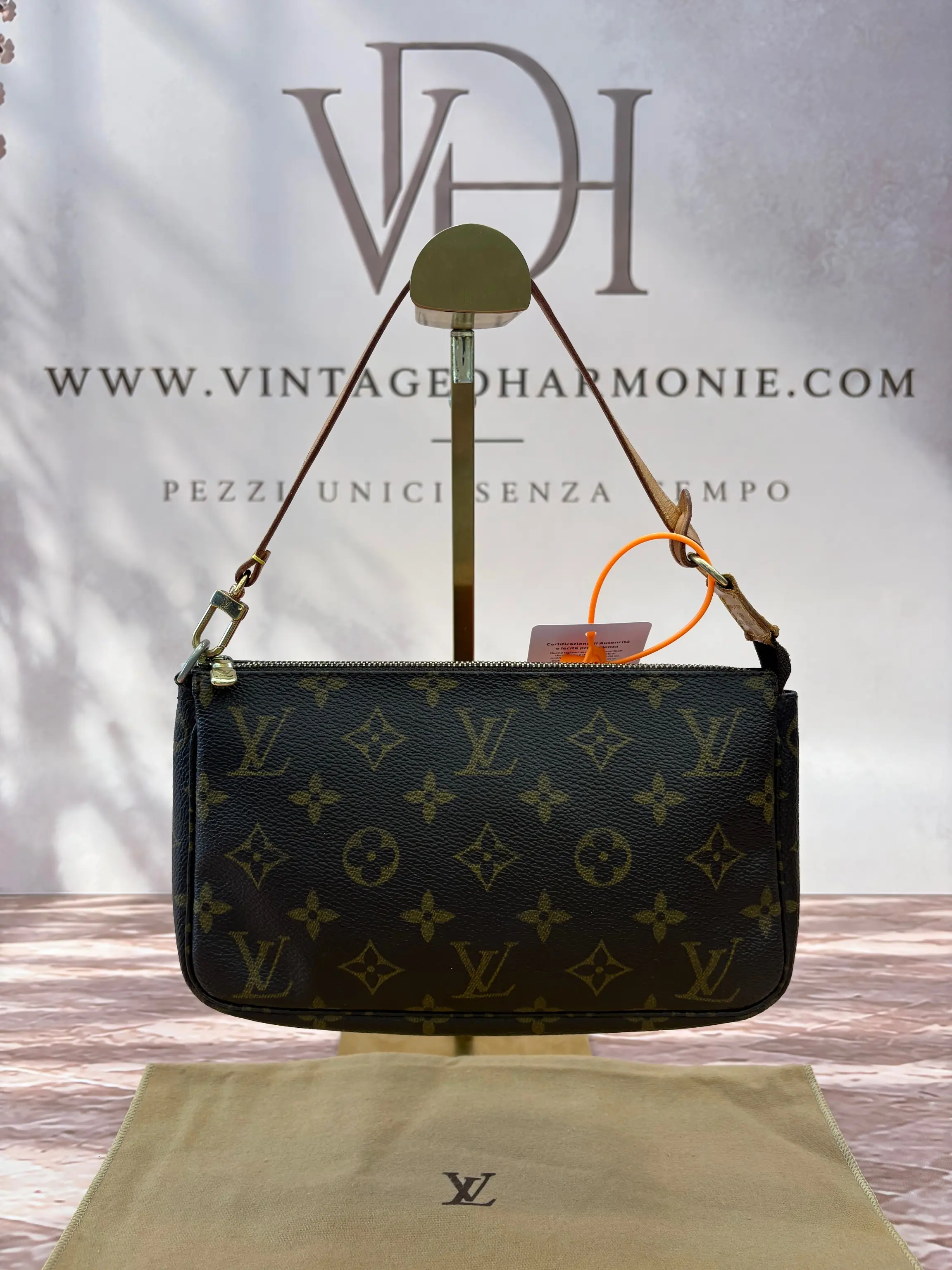 LOUIS VUITTON POCHETTE ACCESSOIRES