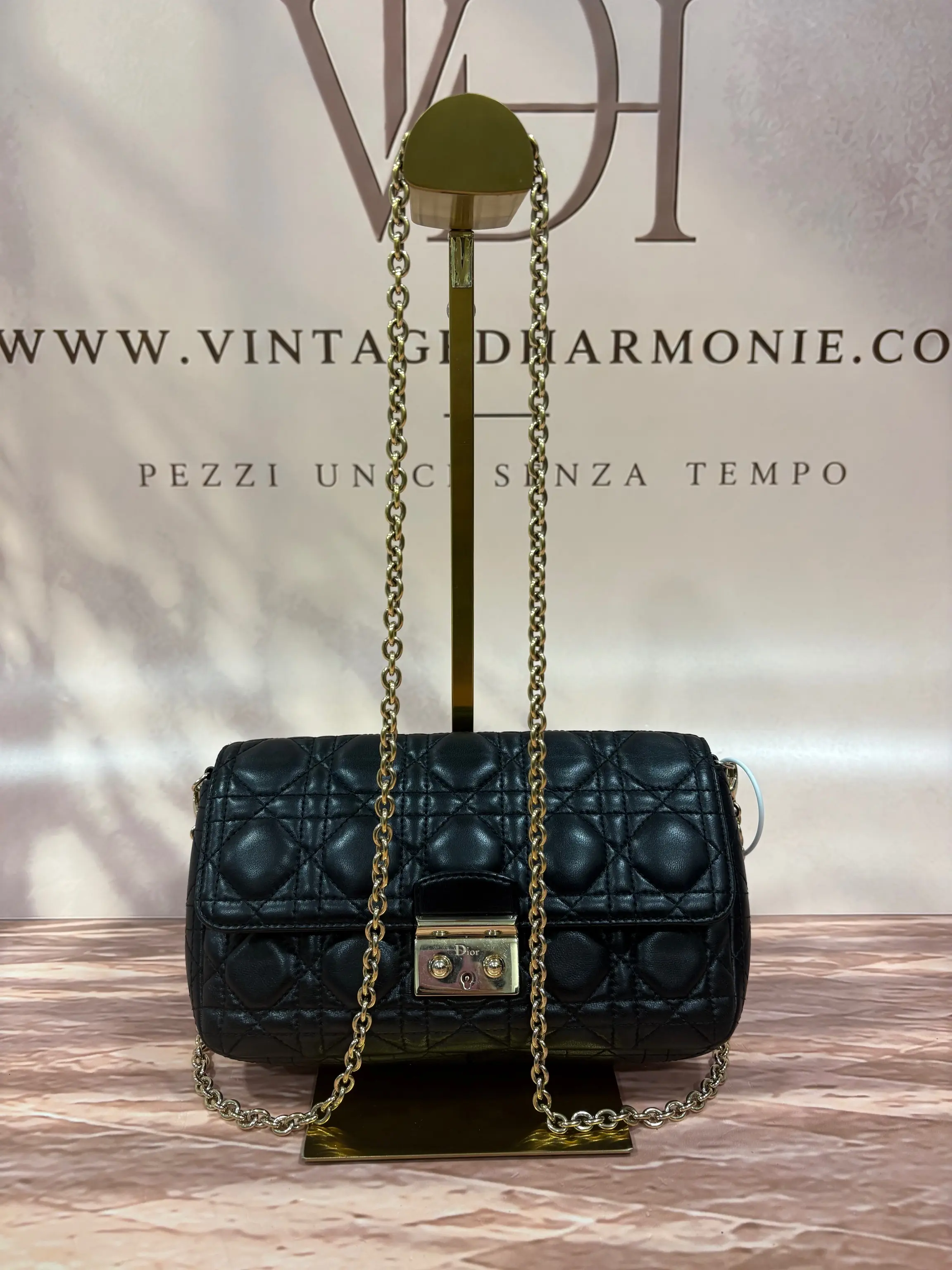 DIOR BAG