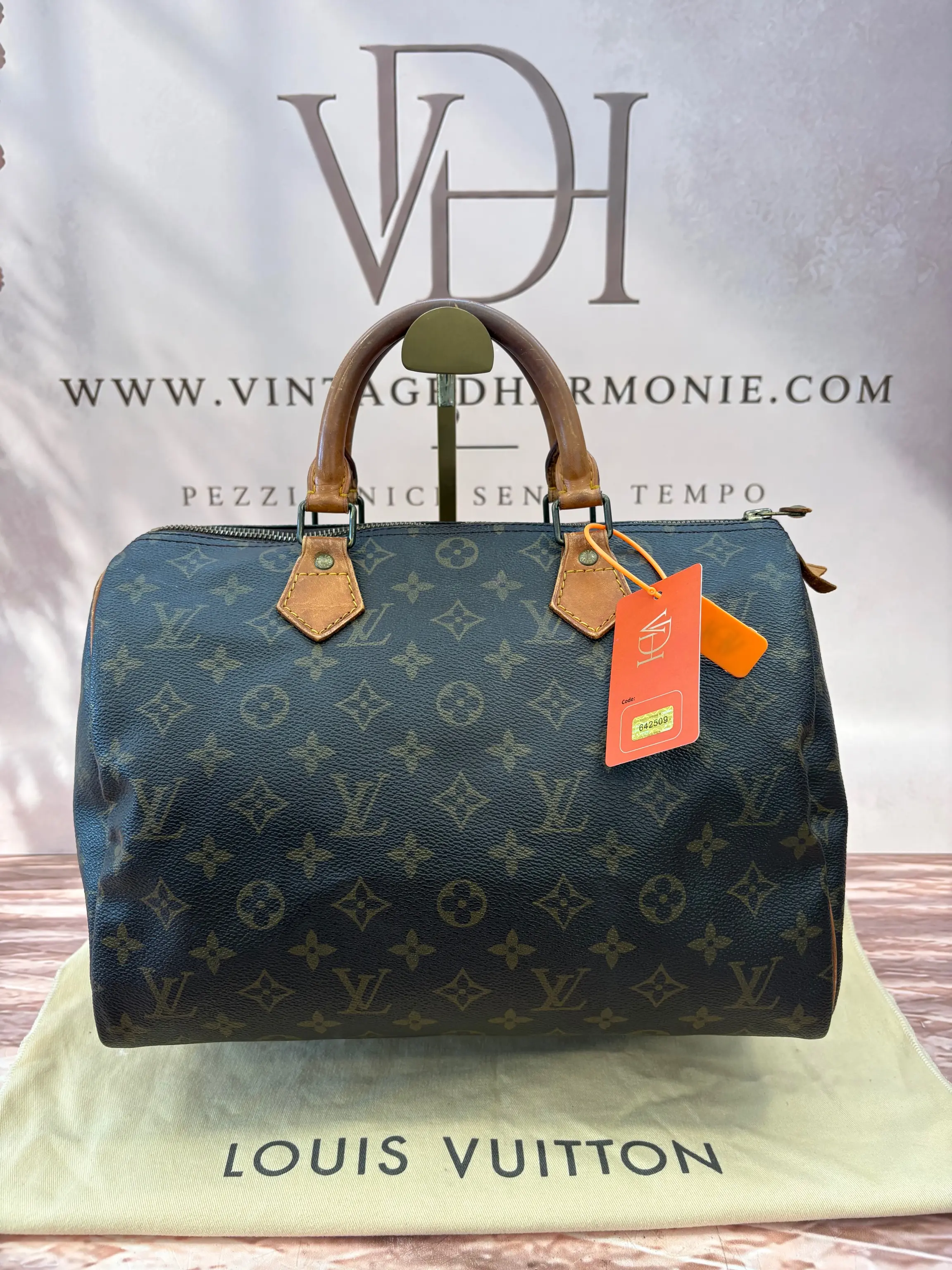 Louis Vuitton Speedy 30